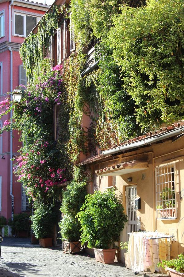Moro 50 - Loft In Trastevere ローマ エクステリア 写真